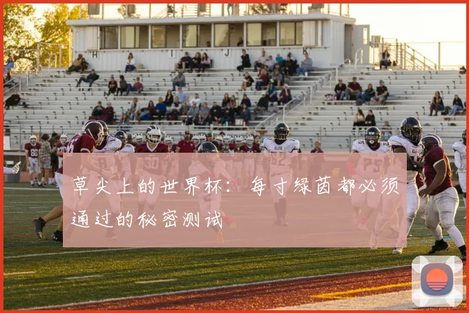 草尖上的世界杯：每寸绿茵都必须通过的秘密测试